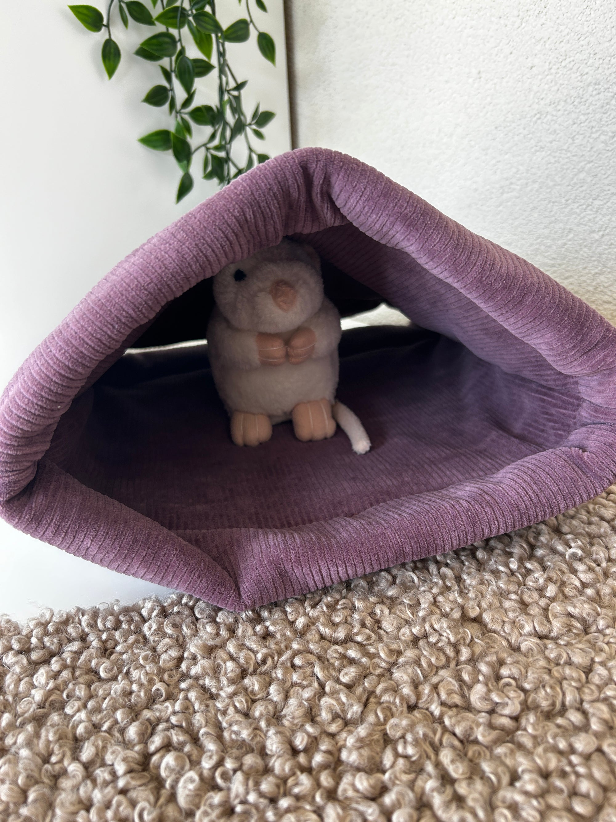 Tunnel voor knaagdieren